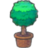 Twisted potted plant