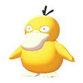 Psyduck Image