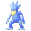 Golduck Image