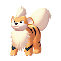 Growlithe Image