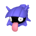 Shellder Image
