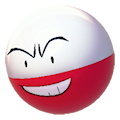 Electrode Image