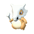 Cubone Image