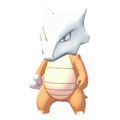 Marowak Image