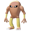 Hitmonlee Image