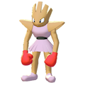 Hitmonchan Image