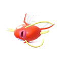 Magikarp Image