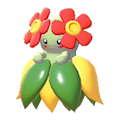 Bellossom