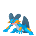 Swampert Image