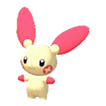 Plusle Image