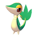 Snivy Image