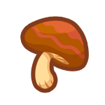 Tasty Mushroom