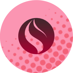 Charizardite X - Grade 10