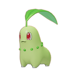 Chikorita