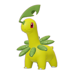 Bayleef