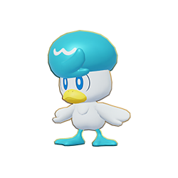 Quaxly