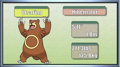 ursaring pokemon