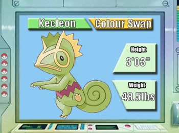 kecleon brothers