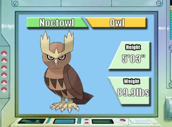 Noctowl