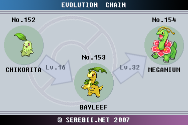 bayleef evolution chart