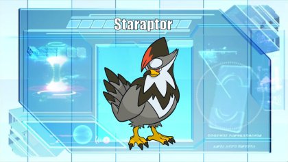 Staraptor  Flying type pokemon, Pokémon diamond, Pokemon pokedex