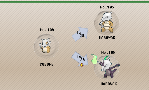 Evoluzione dei pokemon marowak