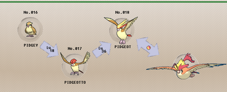 Pokemon Pidgey Evolution