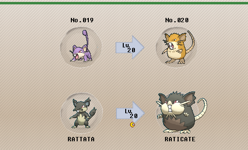 rattata pokemon evolution chart