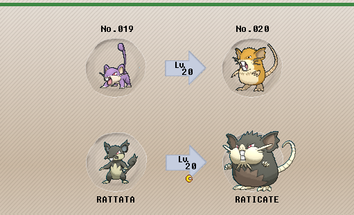 Alolan Rattata (Pokémon GO): Stats, Moves, Counters, Evolution