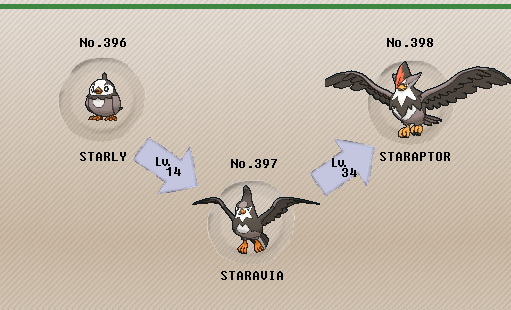 staravia evolution chart