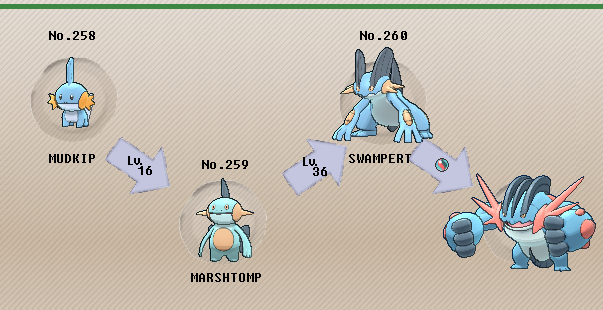 Shiny Swampert X And Y