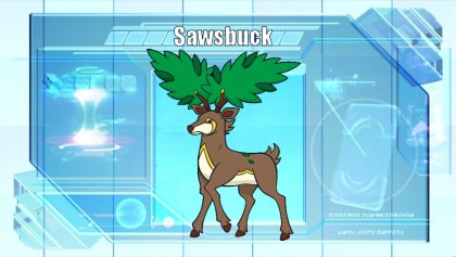 Sawsbuck