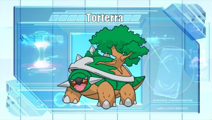 Torterra