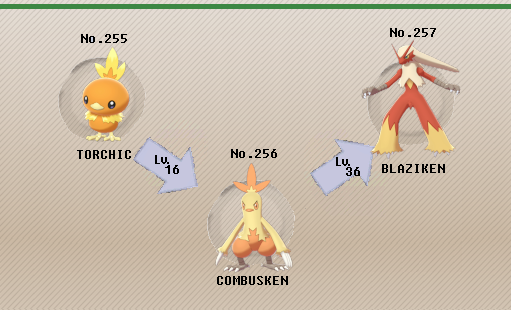 How To Evolve Torchic Into Combusken And Blaziken In Pokemon