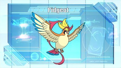 Mega Pidgeot, Victory Road Wiki