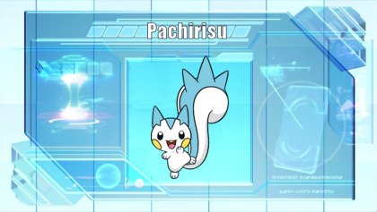 Pachirisu - #417 -  Pokédex