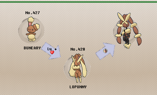 images of pokemon buneary evolution chart www industrious info.