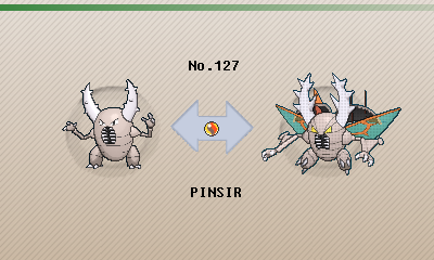 Pinsir Pokédex: stats, moves, evolution & locations