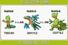 How To Evolve Treecko into Grovyle and Sceptile In Pokemon Emerald