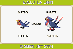 pokemon taillow evolution