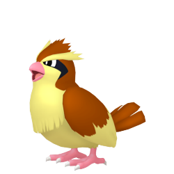 Pidgey