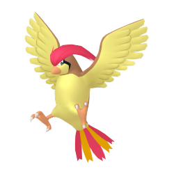 Pidgeotto
