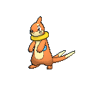 Female Buizel