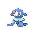 Popplio