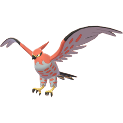 Talonflame