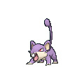 Female Rattata