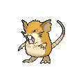 Female Raticate