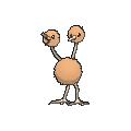 Female Doduo