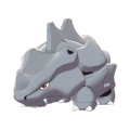 Female Rhyhorn