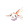 Female Goldeen